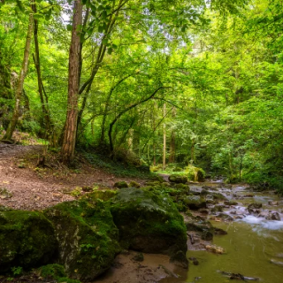 Johannesbachklamm-szurdok